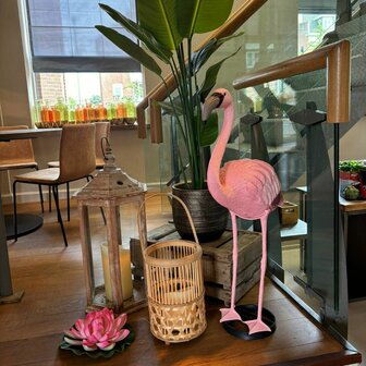 Ludic Partyrentals - Tropical decoratie pakket met flamingo&#039;s