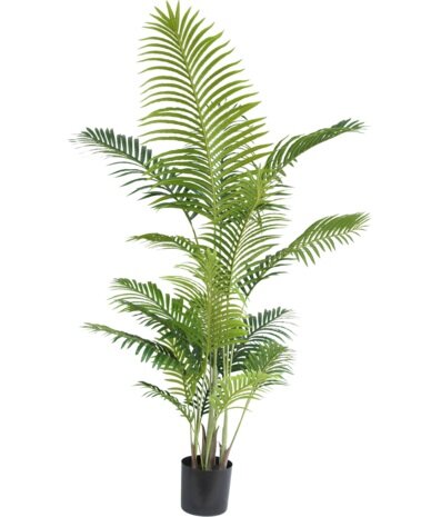 Ludic Partyrentals - Kunstplant Palm 180 cm hoog huren